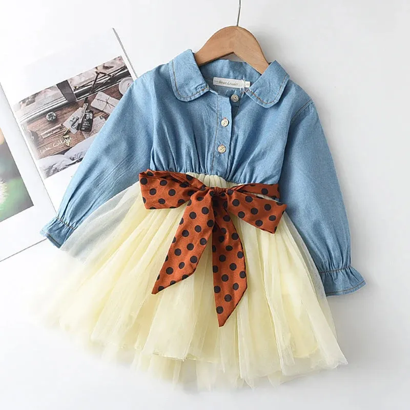 Lace Tulle Dress